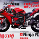 Illustration for article titled Are We Going To See More Supercharged Kawasakis This Year?